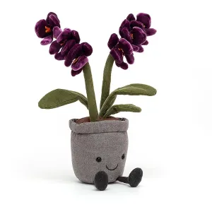 AMUSEABLE PURPLE ORCHID
