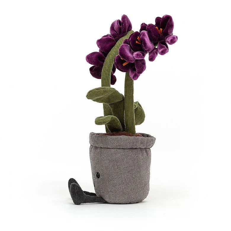 AMUSEABLE PURPLE ORCHID