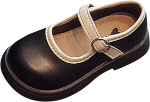Girls Mary Jane Dress Shoes Toddler Flower Girl Shoes Little Girls School Oxford Flats for Wedding Party Shoes