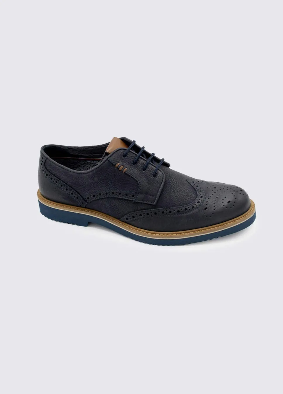 Stan Navy Suede Shoes